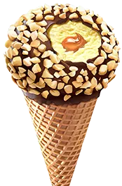 Chocolate fudge scoop with dark sauce